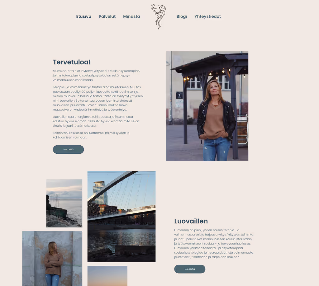 Luovaillen website preview